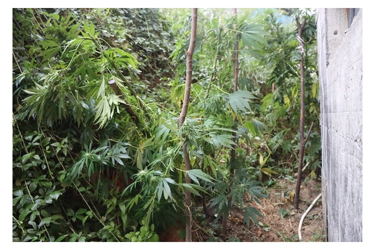 Policija otkrila bunker smrti: bombe, eksploziv i droga povezani s ubojstvom?